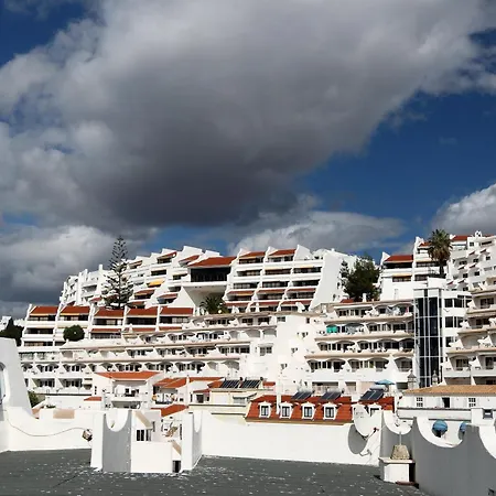 Edificio - Local 阿尔布费拉